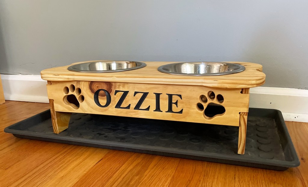 Completed elevated dog bowl dish